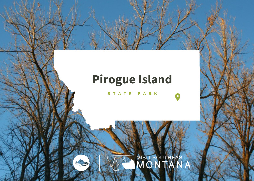 Pirogue Island Email